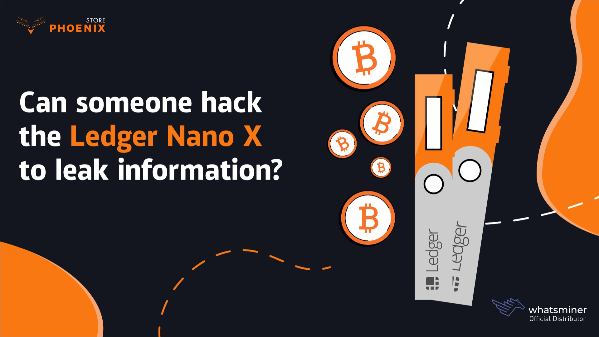 Can someone hack the Ledger Nano X to leak information?