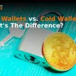 Hot Wallets Vs. Cold Wallets