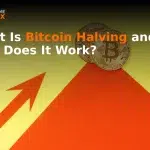 What Is Bitcoin Halving and How Does It Work?